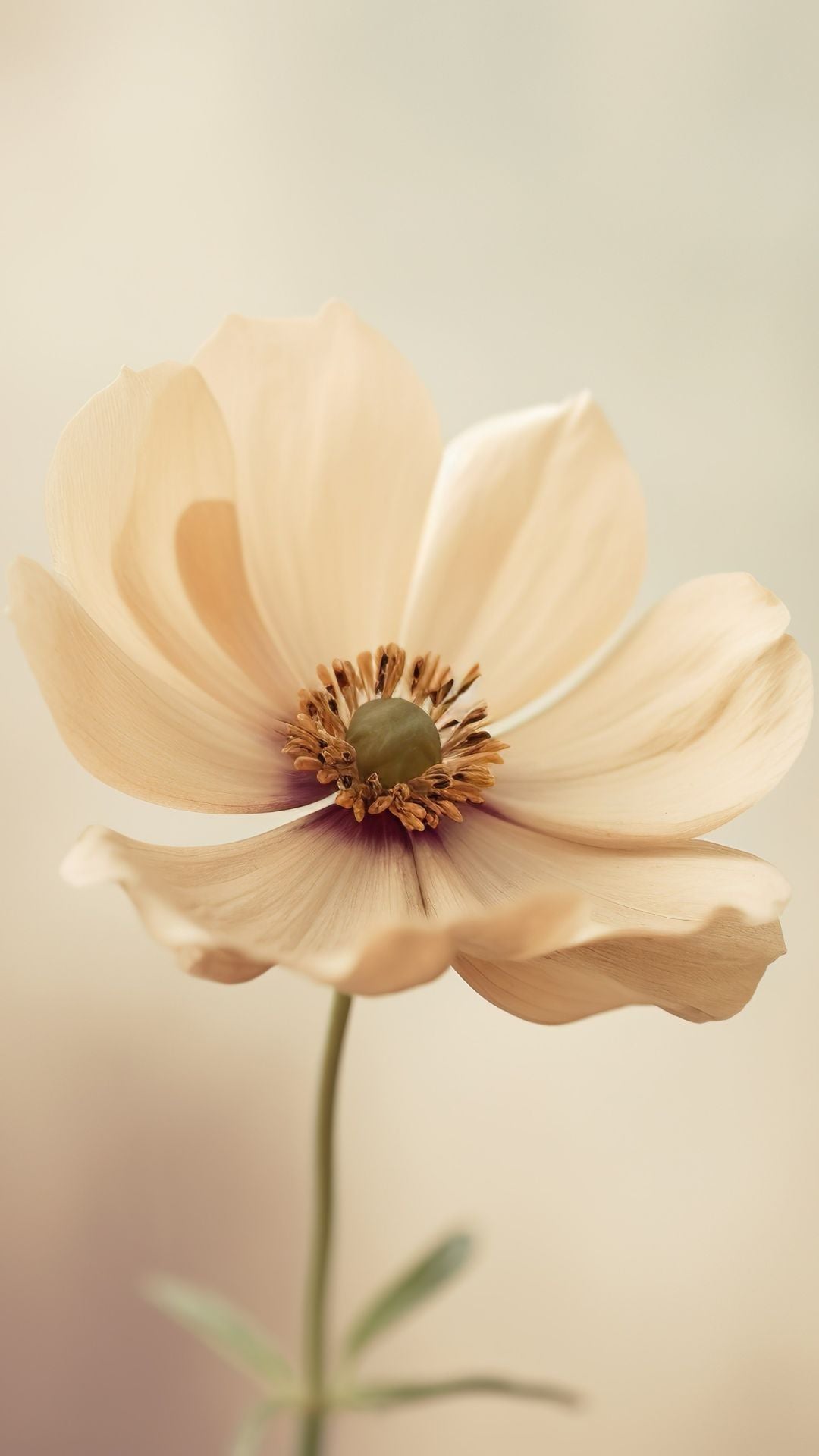 Migrar no es comenzar de nuevo.Es continuar siendo tú en otro paisaje, con otros sonidos, otros ritmos, otras formas de decir. Múnich